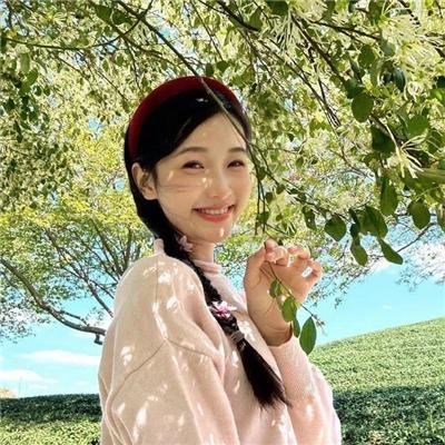 暂缓逮捕 海报